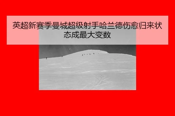 ying-chao-xin-sai-ji-man-cheng-chao-ji-she-shou-ha-lan-de-shang-yu-gui-lai-zhuang-tai-cheng-zui-da-bian-shu-2-211.jpg