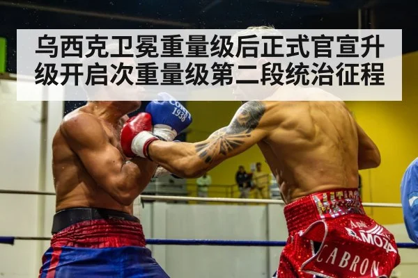 boxing fight action in ring