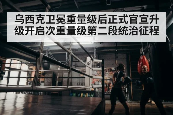 boxer training in gym